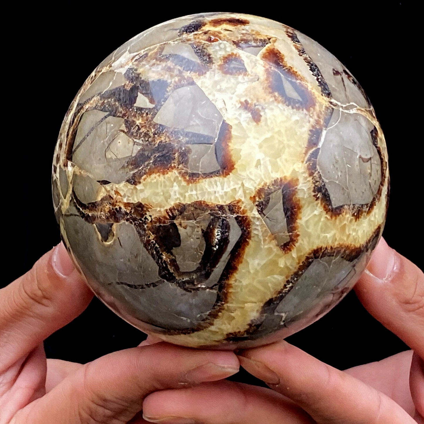 Septarian Sphere