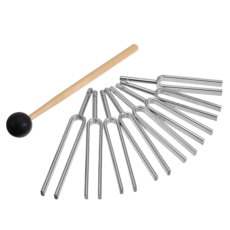 Chakra Steel Music Kit 256-512HZ