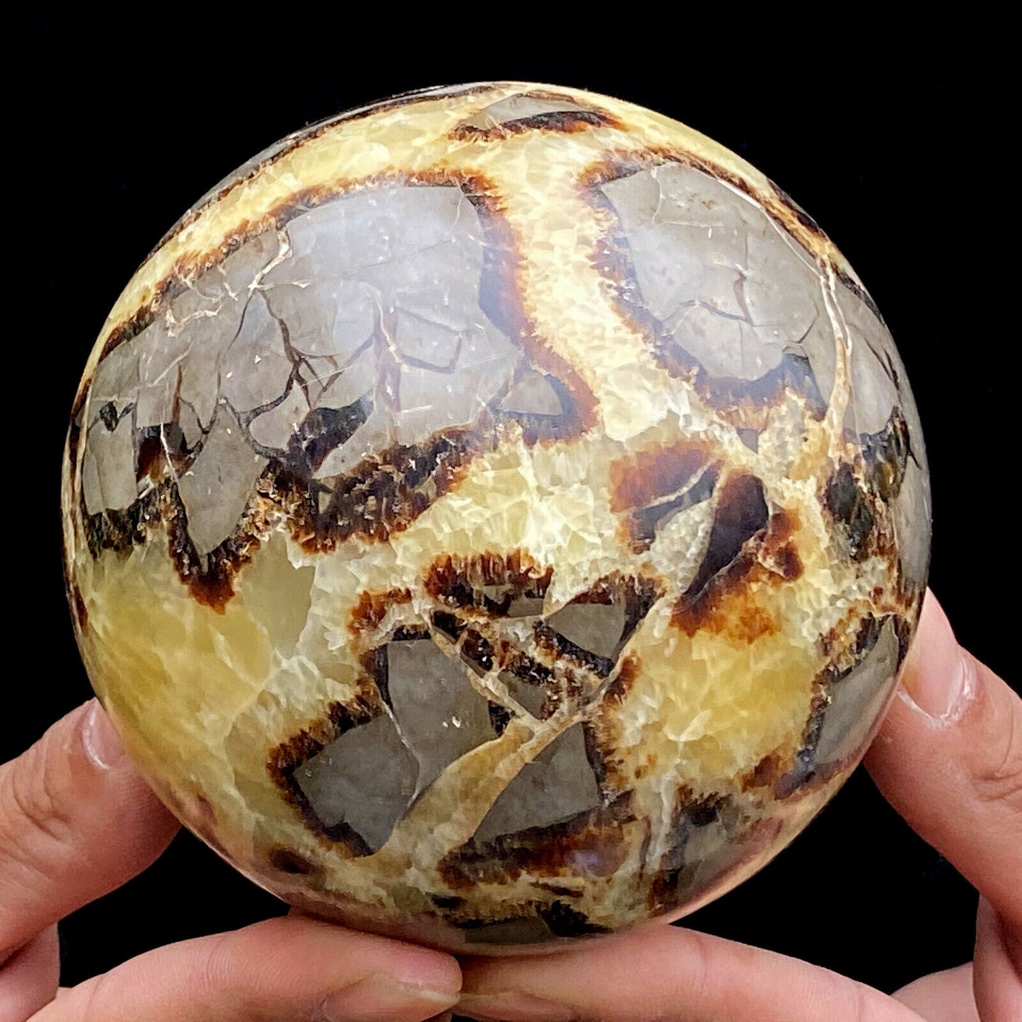 Septarian Sphere