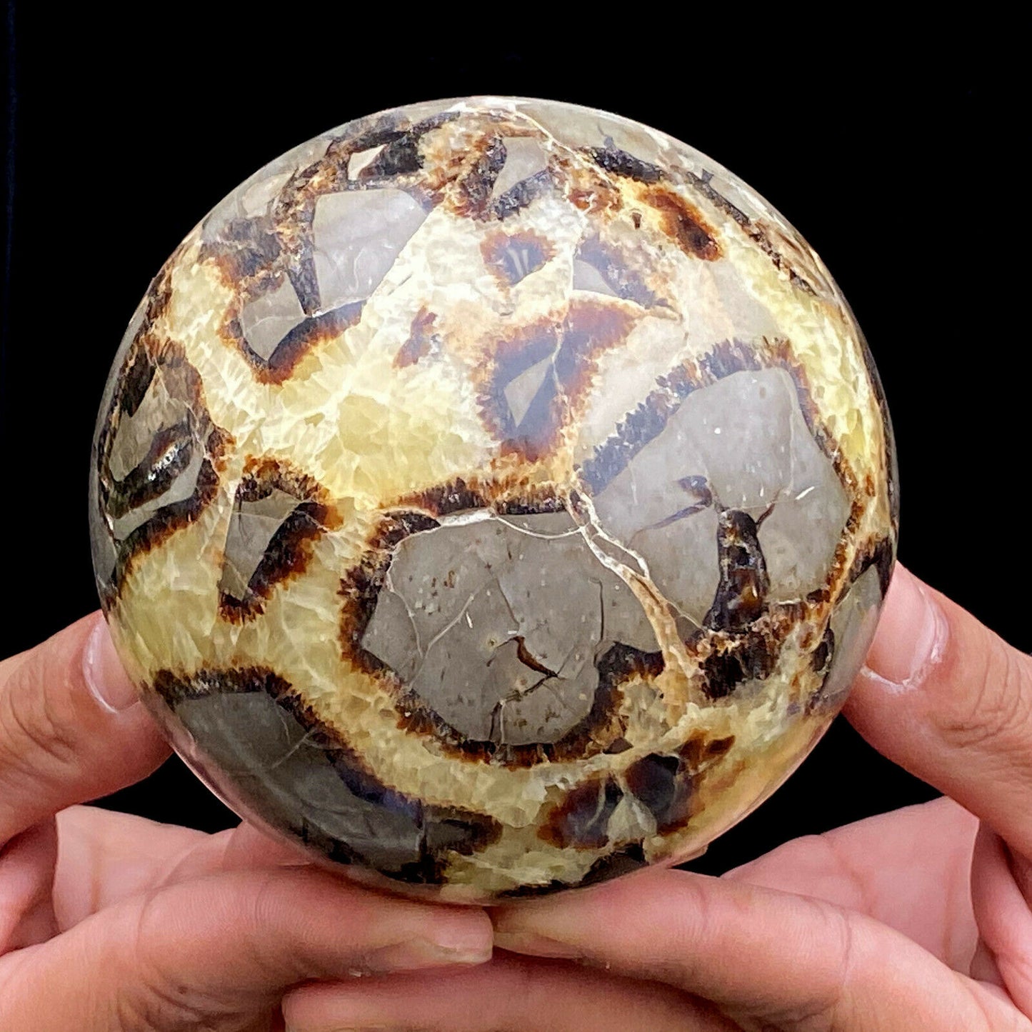 Septarian Sphere