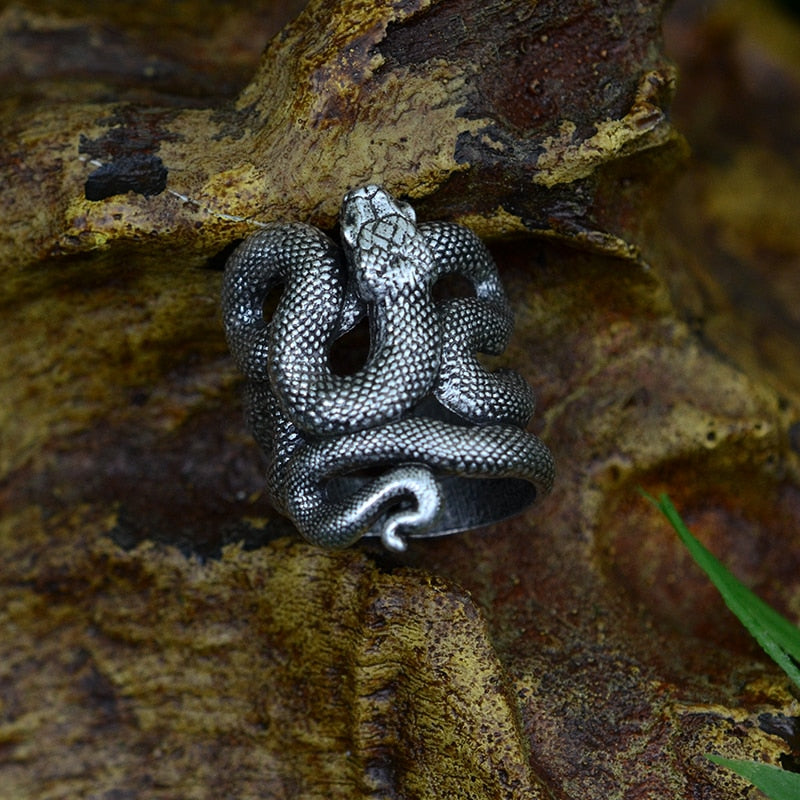 Witch Serpent Snake Rings