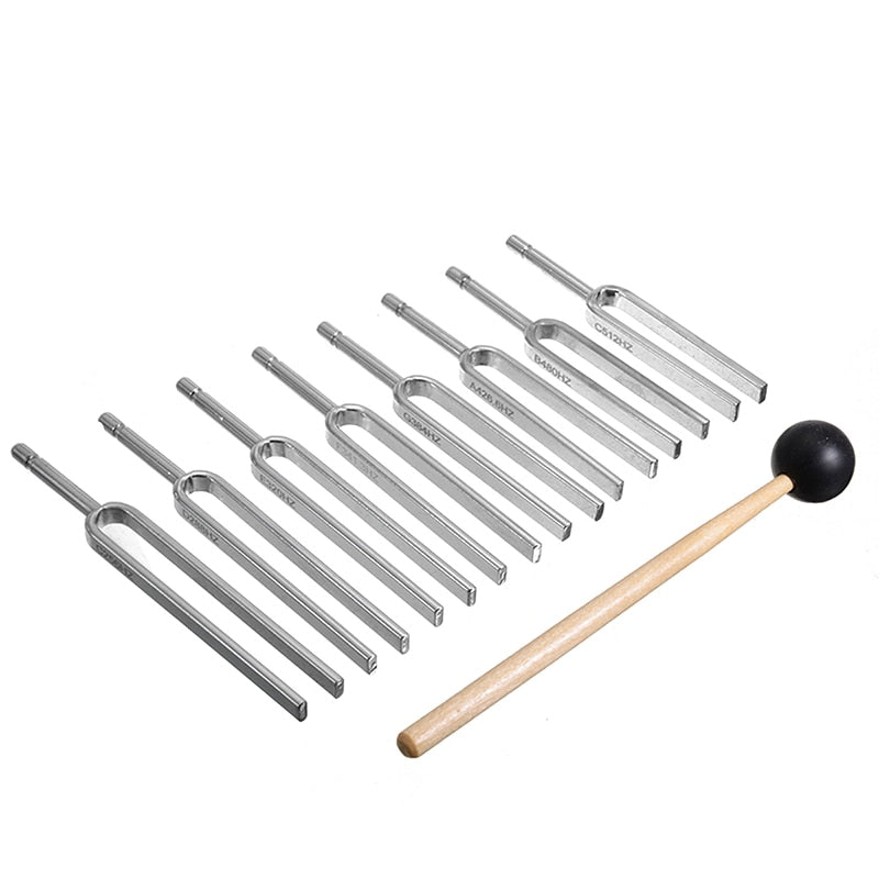 Chakra Steel Music Kit 256-512HZ