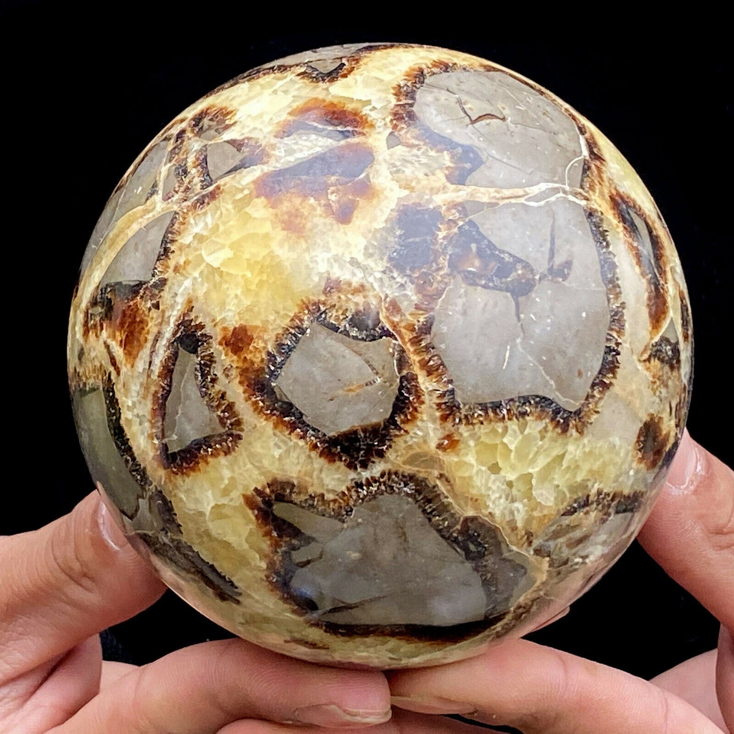 Septarian Sphere