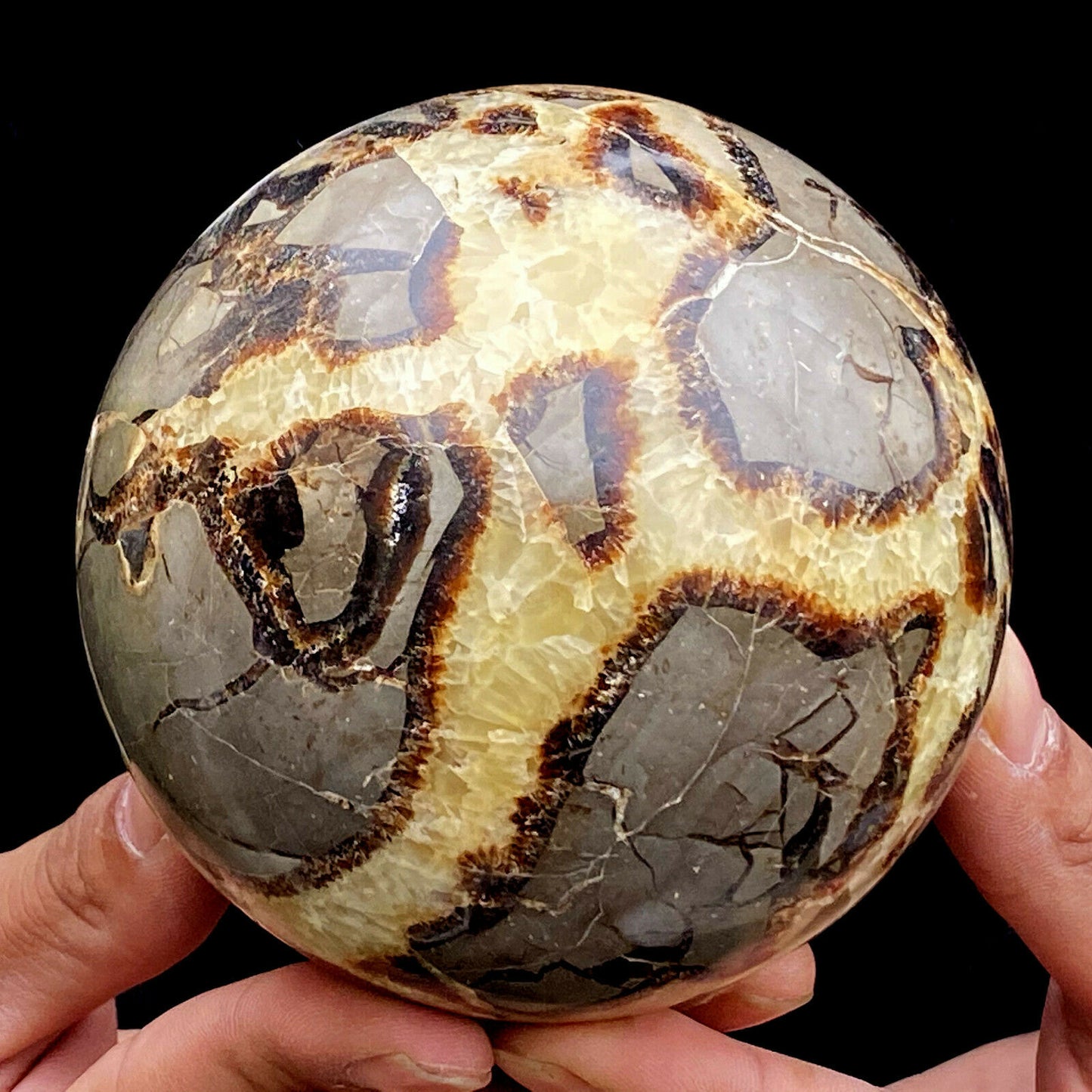 Septarian Sphere